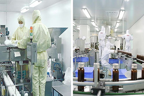 湖南植物饮料加工厂 性价比与技术服务深度解析
